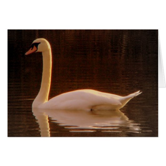 Just a dream (Front Horizontal)