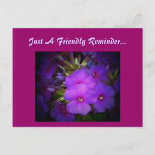 Just A Friendly Reminder...Postcard Postcard