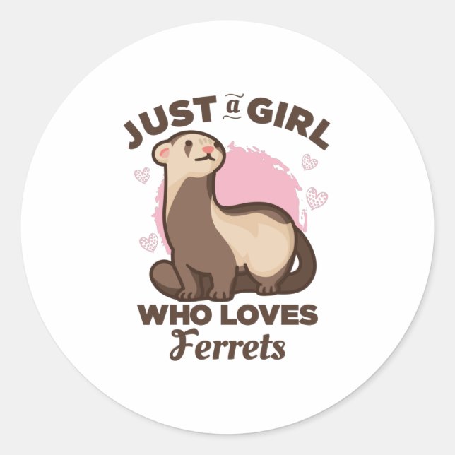 Just a Girl who Loves Ferrets Classic Round Sticker (Front)
