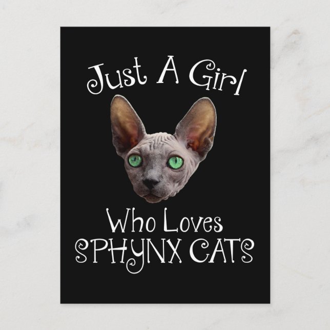 Just A Girl Who Loves Sphynx Cats Postcard (Front)