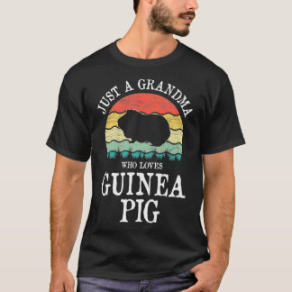 Just A Grandma Who Loves Guinea Pig Premium _2  T-Shirt