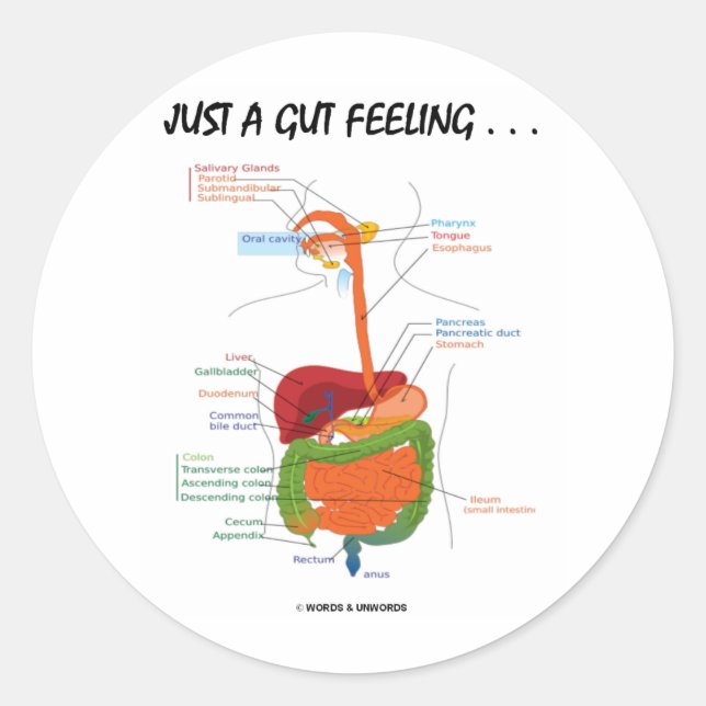 Just A Gut Feeling... (Digestive System Humor) Classic Round Sticker (Front)
