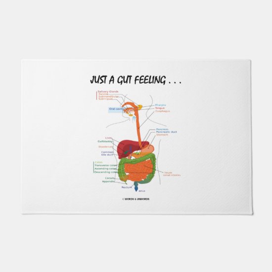 Just A Gut Feeling... Digestive System Humor Doormat