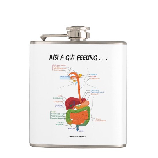 Just A Gut Feeling... Digestive System Humor Hip Flask
