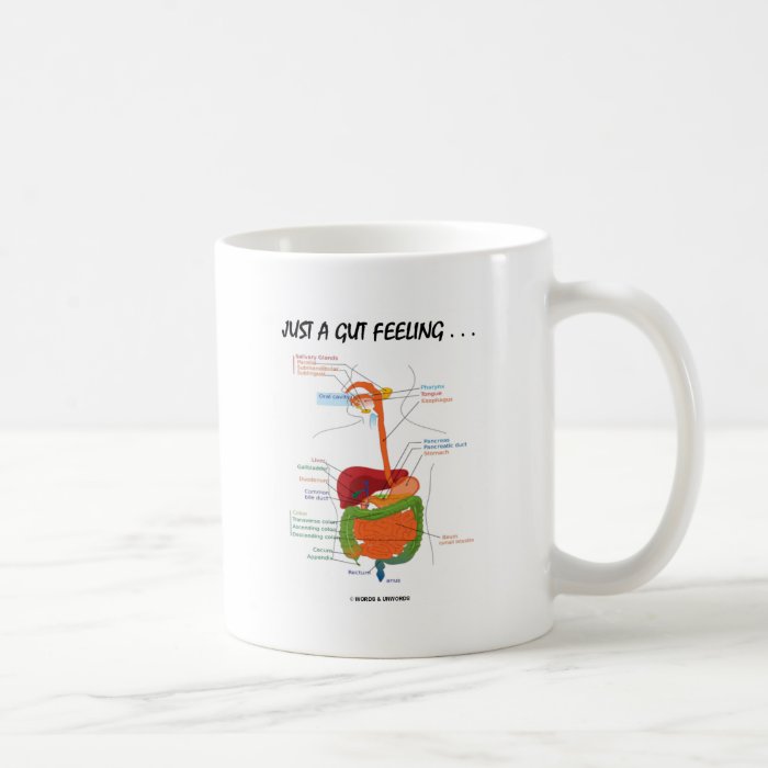 Just A Gut Feeling(Digestive System Humor) Mugs