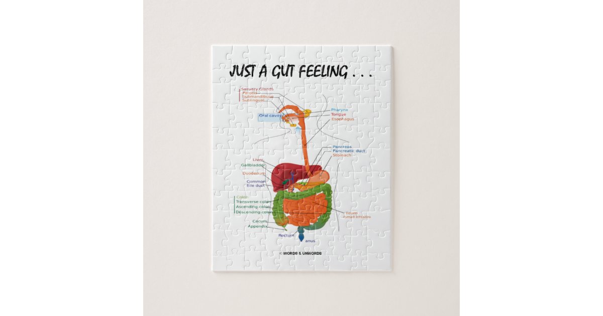 Just A Gut Feeling . . . (Digestive System) Jigsaw Puzzle | Zazzle