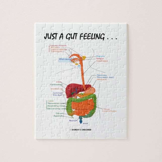 Just A Gut Feeling . . .  (Digestive System) Jigsaw Puzzle (Vertical)