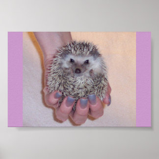 Just a Handful Hedgehog Poster