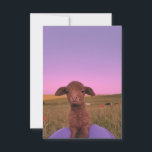 Just a happy lil' lamb invitation<br><div class="desc">Just a happy lil' lamb</div>