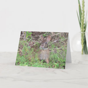 Just a Hare Older - Birthday Bunny Card