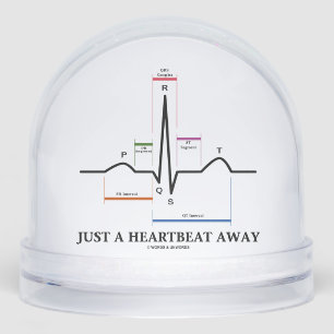Just A Heartbeat Away Electrocardiogram EKG Humor Snow Globe