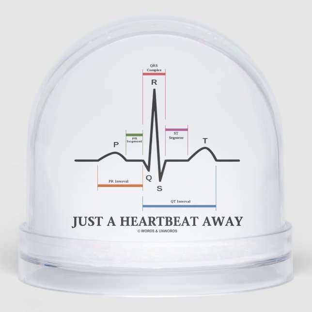 Just A Heartbeat Away Electrocardiogram EKG Humor Snow Globe (Front)