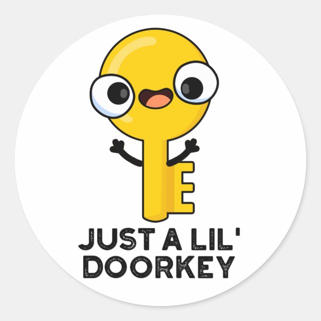 Just A Lil Door-key Funny Dorky Key Pun  Classic Round Sticker (Front)