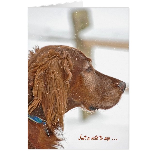 Just a note Irish Setter (Front)