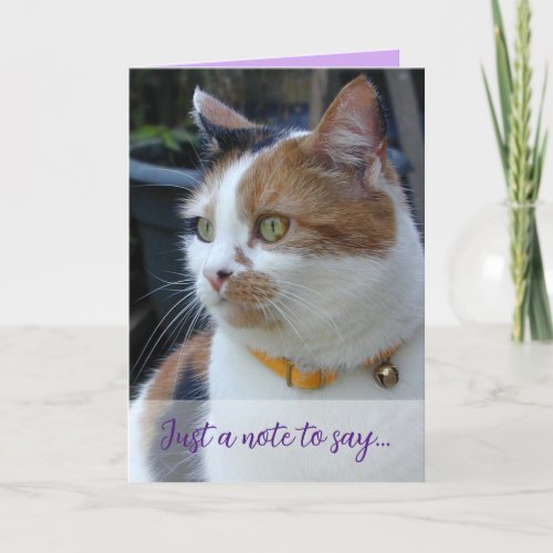 Just a note to say 3 cat photos purple card
