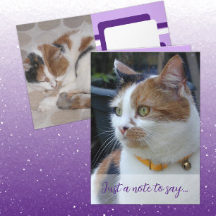 Just a note to say 3 cat photos purple card