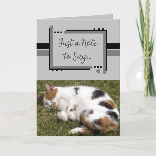 Just a note to say cat photos black grey card