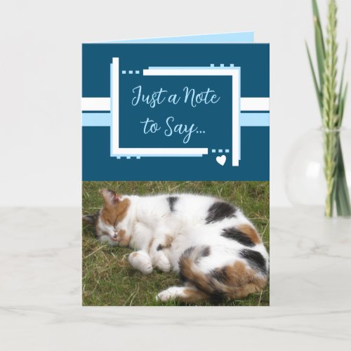 Just a note to say cat photos blue white card