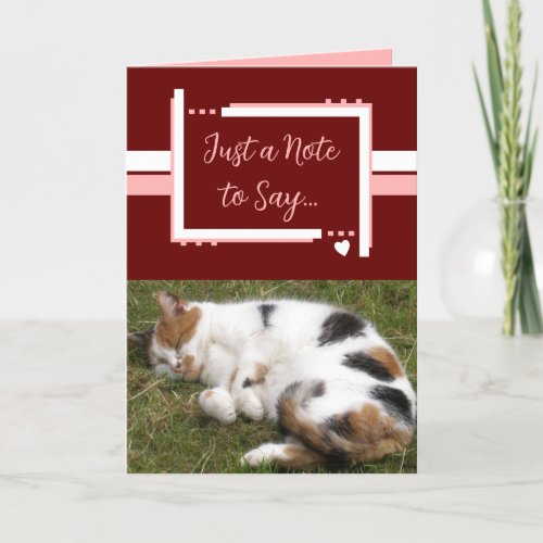 Just a note to say cat photos burgundy pink card