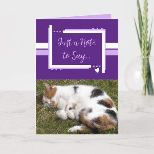 Just a note to say cat photos white purple card