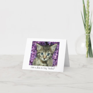 Just a Note to Say "Hello!" Gray Kitten Card