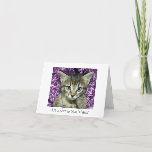 Just a Note to Say "Hello!" Gray Kitten Card (Front)
