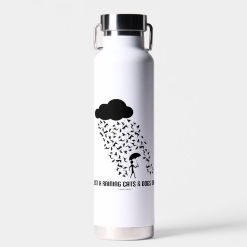 Just A Raining Cats And Dogs Day Meteorology Humor Water Bottle