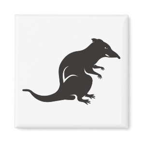 Just a Rat Magnet