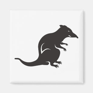 Just a Rat Magnet