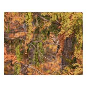 Just A Squirrel In The Woods Jigsaw Puzzle