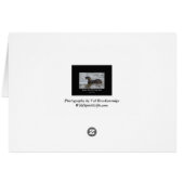 Just an Otter Day Gifts Cards (Back Horizontal)