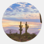 Just Another Colorful Sonoran Desert Sunrise Classic Round Sticker