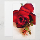 Just Because_ (Front/Back)