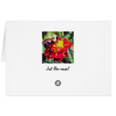 Just Bee-cause! Cards (Back Horizontal)
