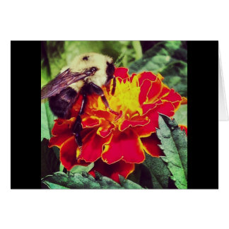 Just Bee-cause! Cards