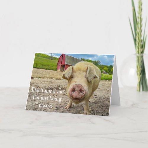 Just Being Nosey pig blank note card