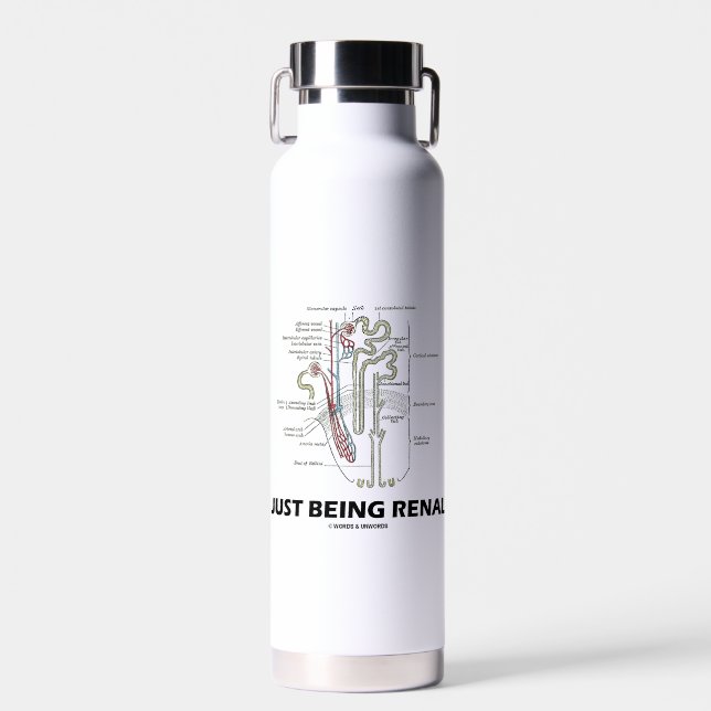 Just Being Renal Kidney Nephron Anatomy Humor Water Bottle (Front)