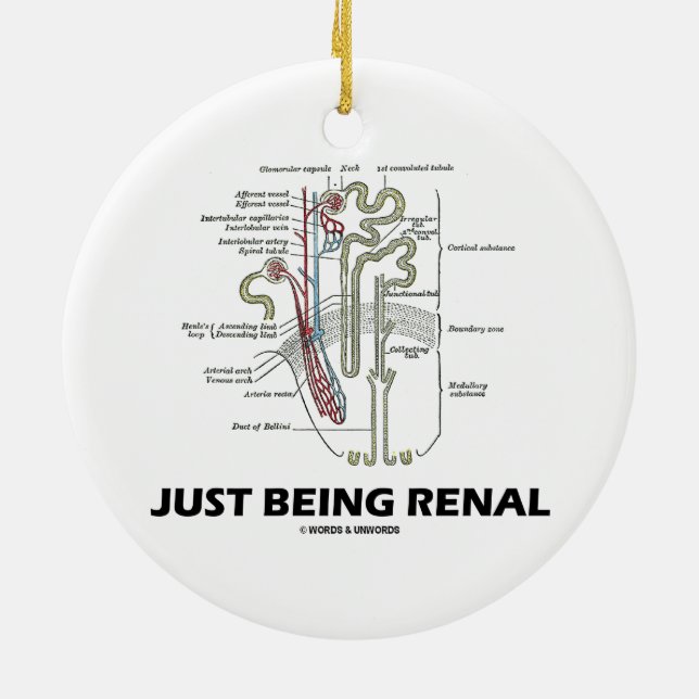 Just Being Renal (Kidney Nephron Renal Humor) Ceramic Ornament (Back)