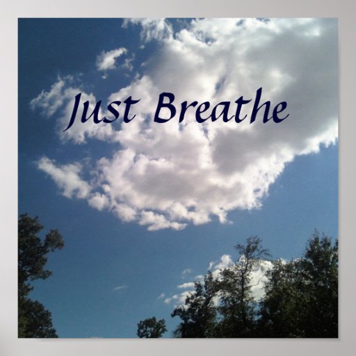 Just Breathe Poster | Zazzle