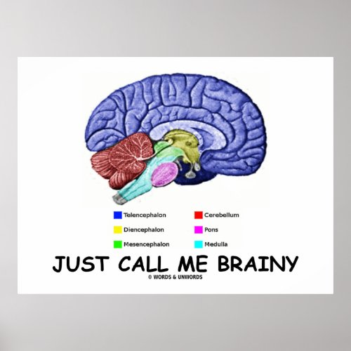 Just Call Me Brainy Anatomical Brain Attitude Poster