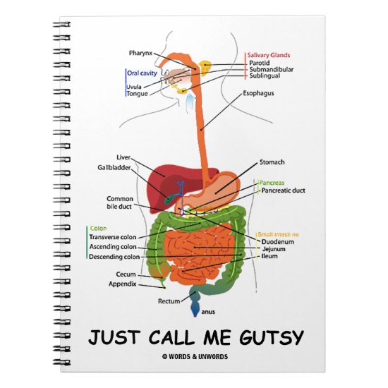 Just Call Me Gutsy (Digestive System Humor) Notebook