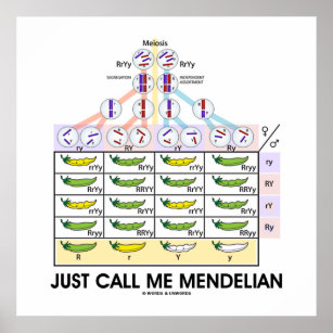 Just Call Me Mendelian (Punnett Square Genetics) Poster