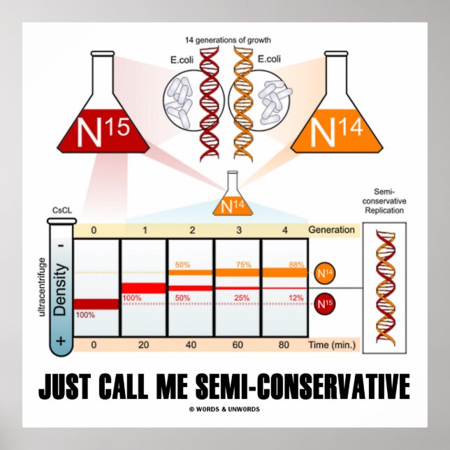 Just Call Me Semi-Conservative (DNA Replication) Poster (Front)