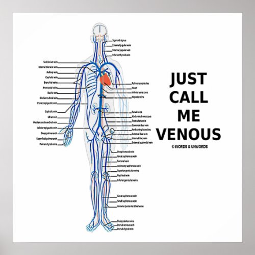 Just Call Me Venous Veins Venous System Poster