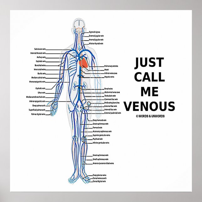 Just Call Me Venous Veins Venous System Poster (Front)