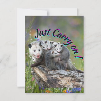 Just Carry On! Postcard