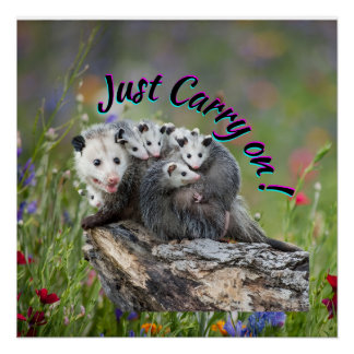 Just Carry On! Poster