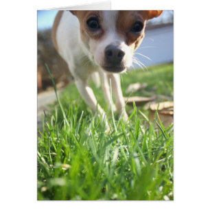 Just checking in to say hi!