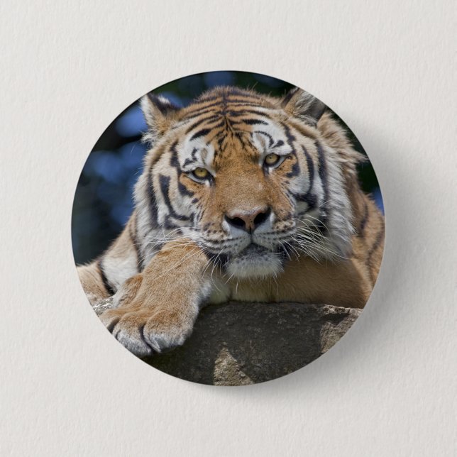 Just Chillin' Badge Pinback Button (Front)