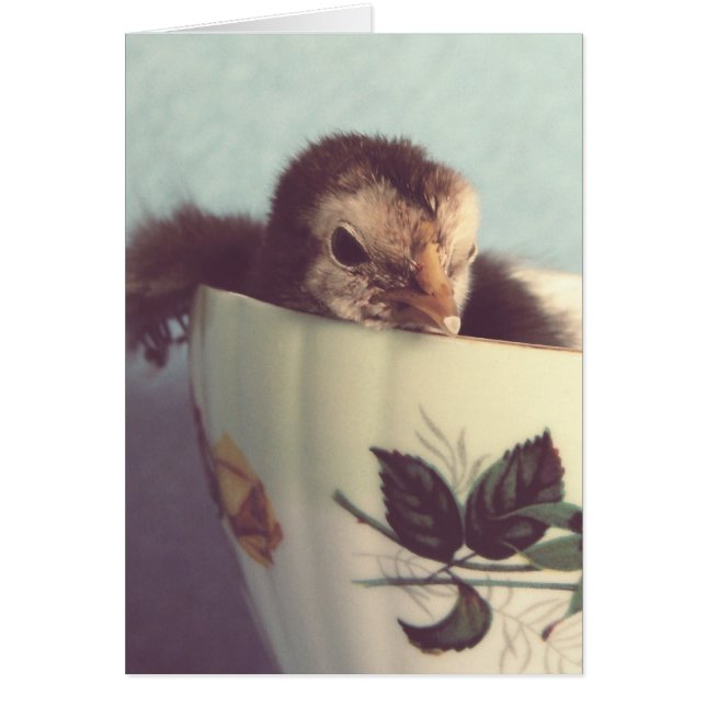 Just Chillin' Cards (Front)
